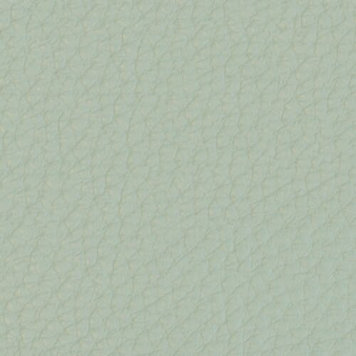 Pelle Premium - Verde chiaro