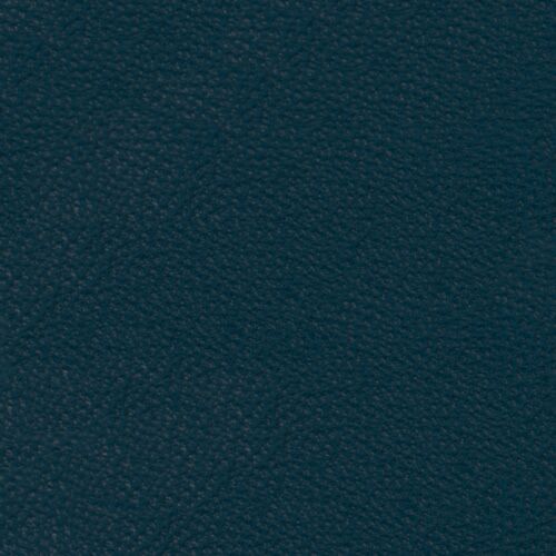 Pelle Premium - Blu