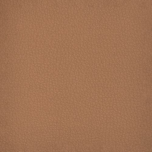 Pelle Ecologica Premium - Biscotto
