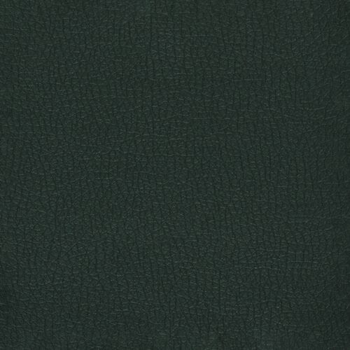 Pelle Ecologica Premium - Verde bosco