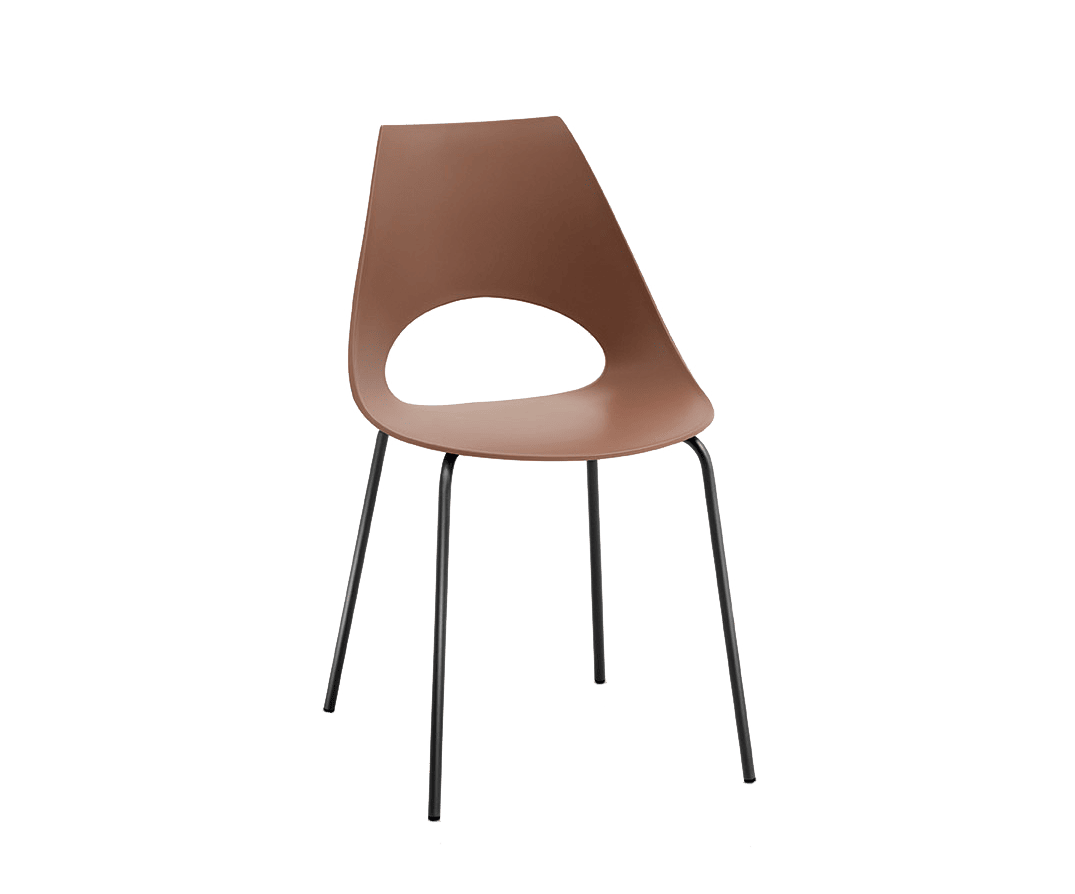 Shark Outdoor