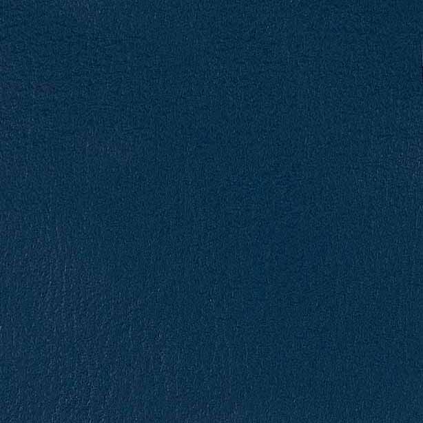 Pelle Premium - Blu con bordino in tinta