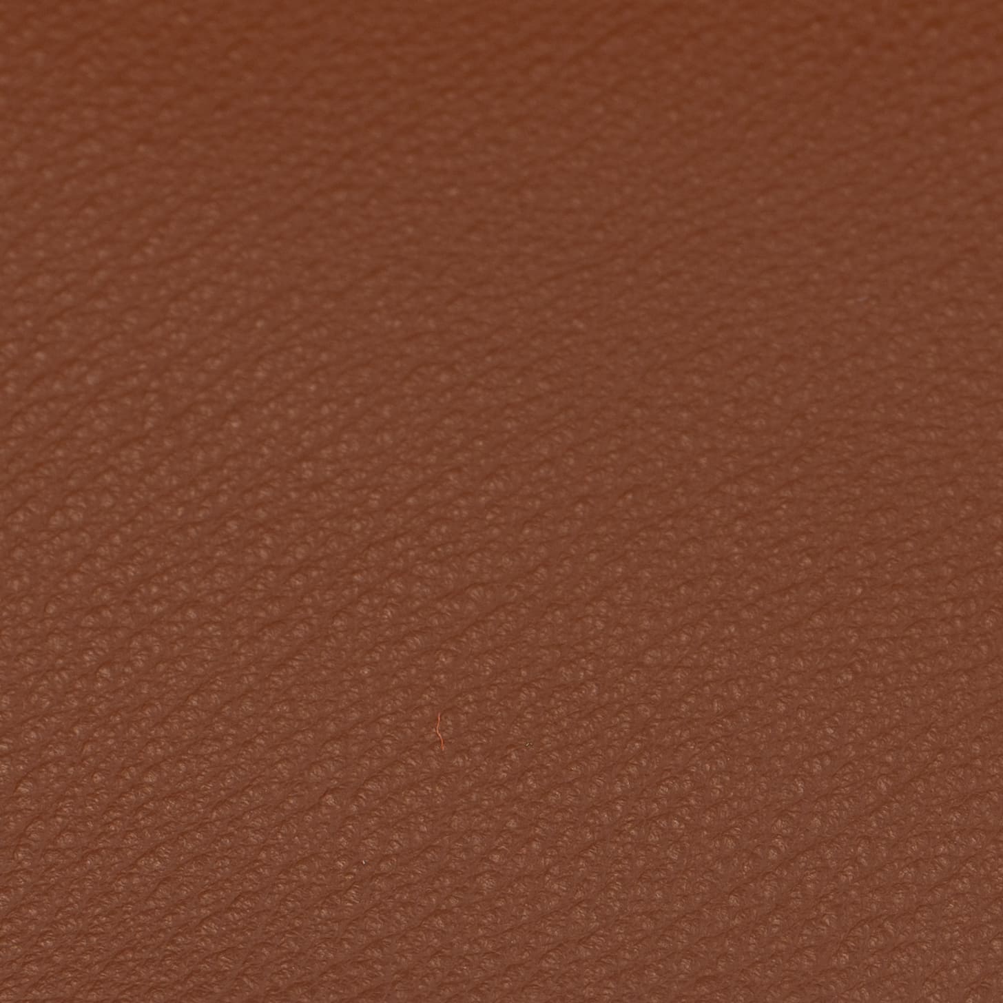 Pelle Premium - Cotto con bordino in tinta